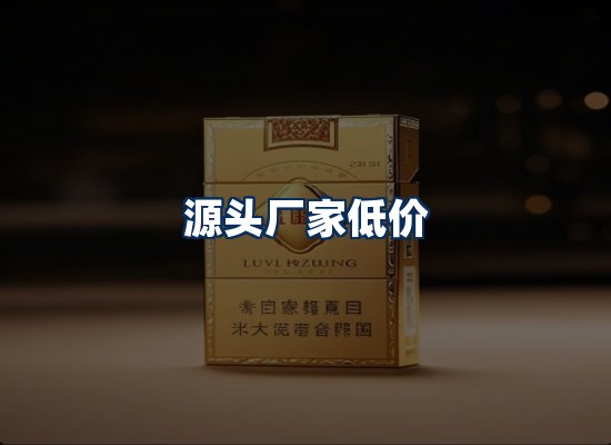 专业团队办公环境